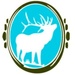 blueelkdesigns