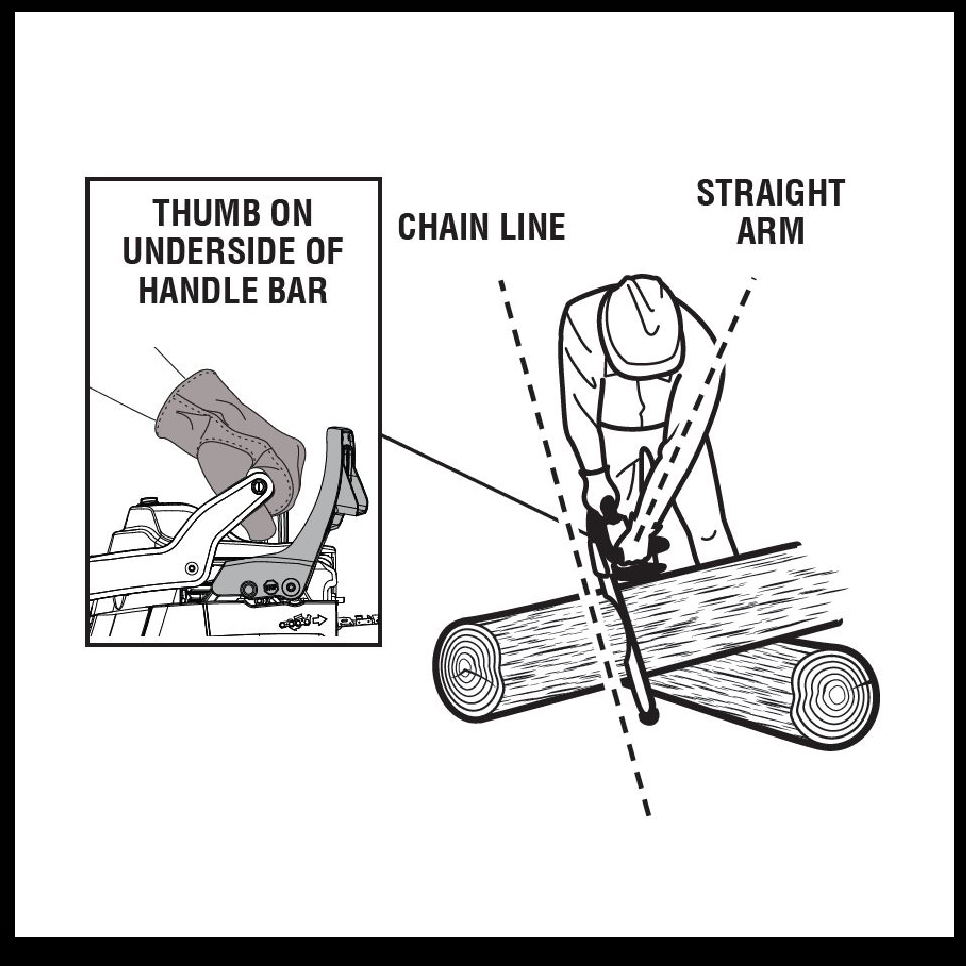 Felling Tree Guide RYOBI Landscapes