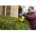 Photo: ONE+ Lithium+ 18 in. 18-Volt Lithium-Ion Cordless Hedge Trimmer - 1.5 Ah Battery and Charger Included