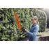 Photo: 18V ONE+ HP 22" Brushless Hedge Trimmer (Tool Only)