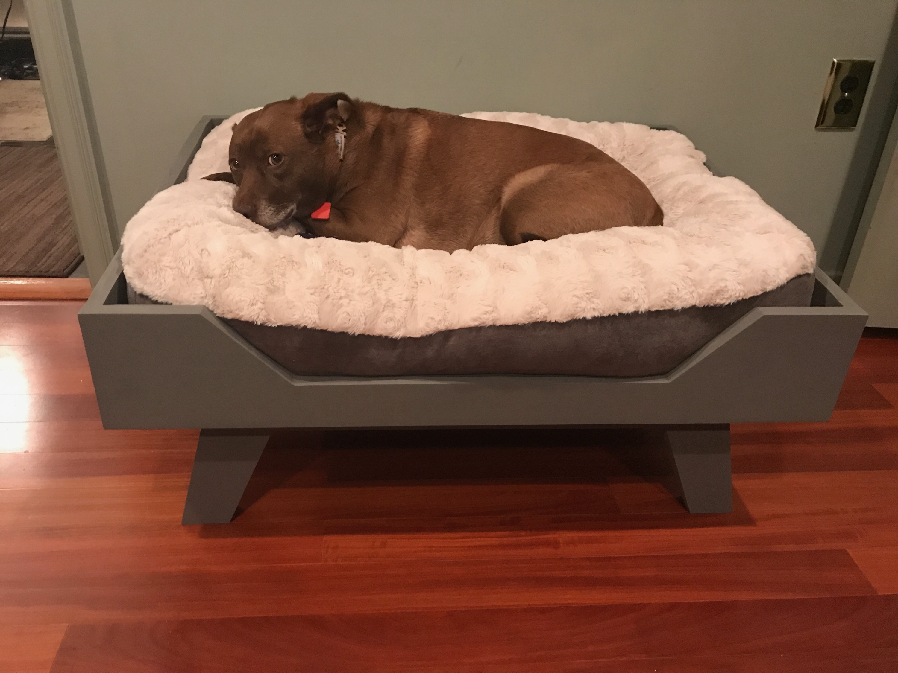 2x4 dog bed
