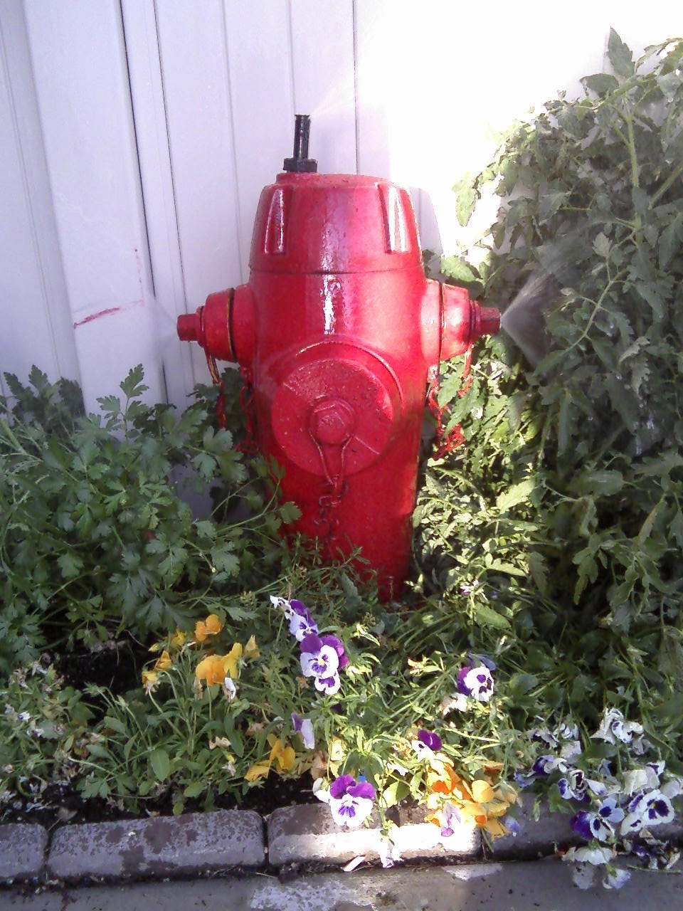 Fire Hydrant Garden Sprinkler RYOBI Nation Projects