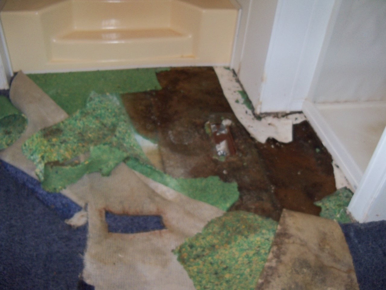 Mobile Home Floor Repair Water Leak Masterbath Ryobi