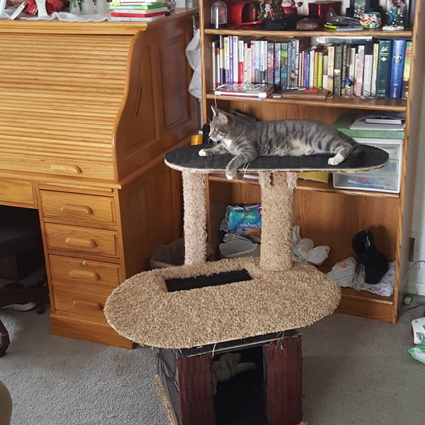 Custom Cat Scratcher aka Happy's Palace - RYOBI Nation Projects