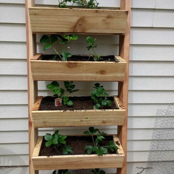 Strawberry Ladder batch build. - RYOBI Nation Projects