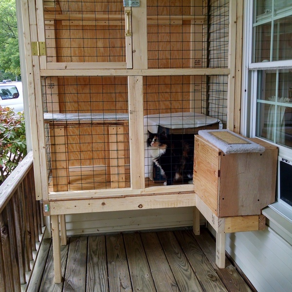 Cat Patio enclosure - RYOBI Nation Projects