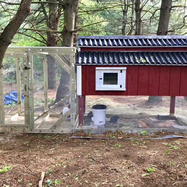 Little Red Chicken Coop - RYOBI Nation Projects