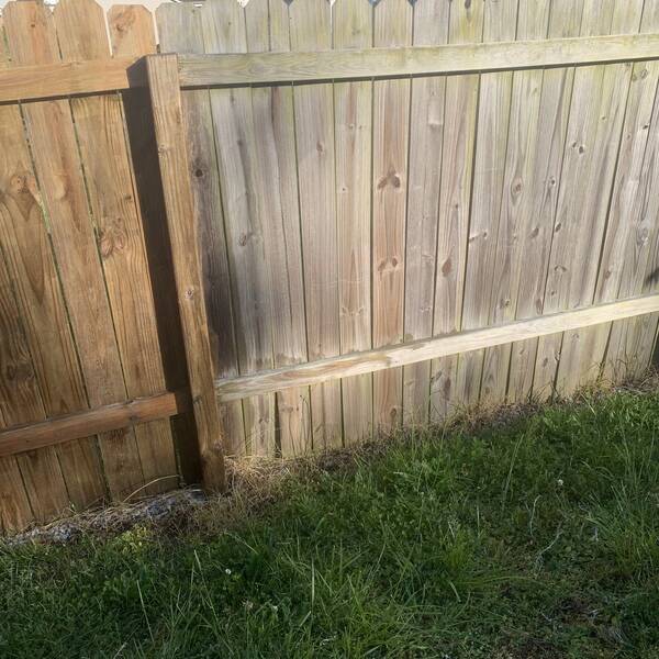 Photo: Clean fence