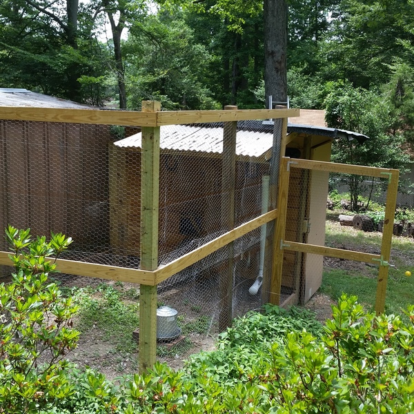 Pallet Chicken Coop And A Run Ryobi Nation Projects