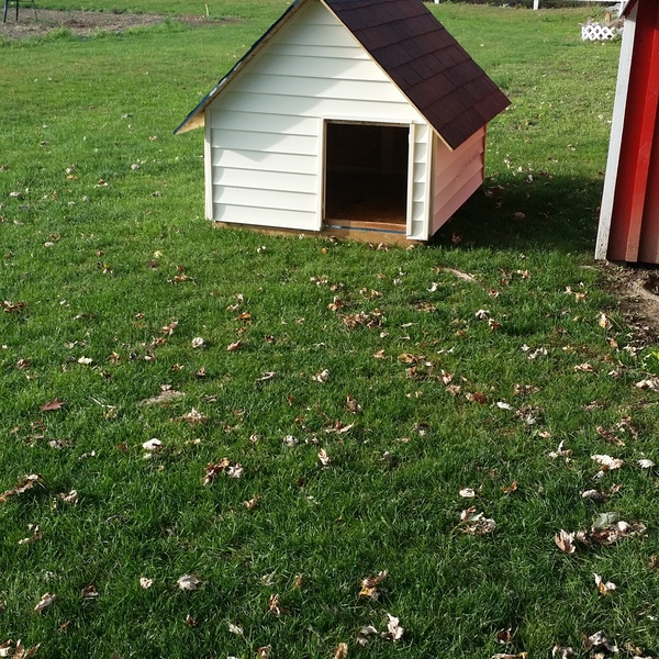 Photo: Dog house