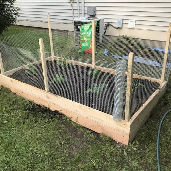 GRAPADORA CON CORONA DE 3/8" 18V ONE+ | Herramientas RYOBI