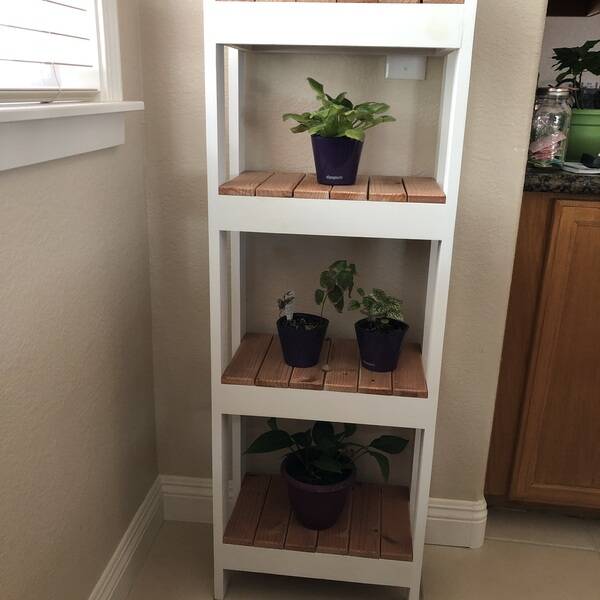 Photo: Indoor Plant Shelf