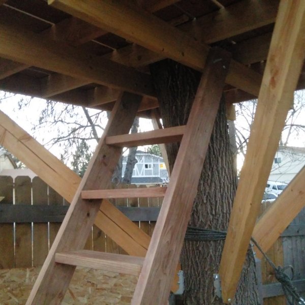 Crow's Nest Tree House with Trap Door and Ladder RYOBI Nation Projects