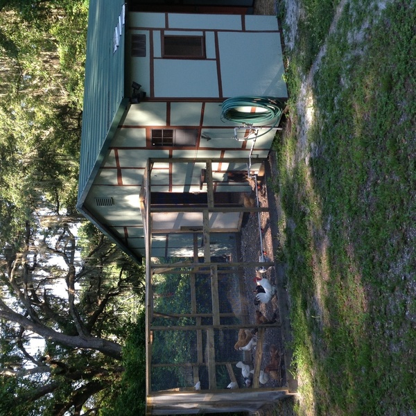 Clever Starts With A Carport Cover That Could House A Few Goats