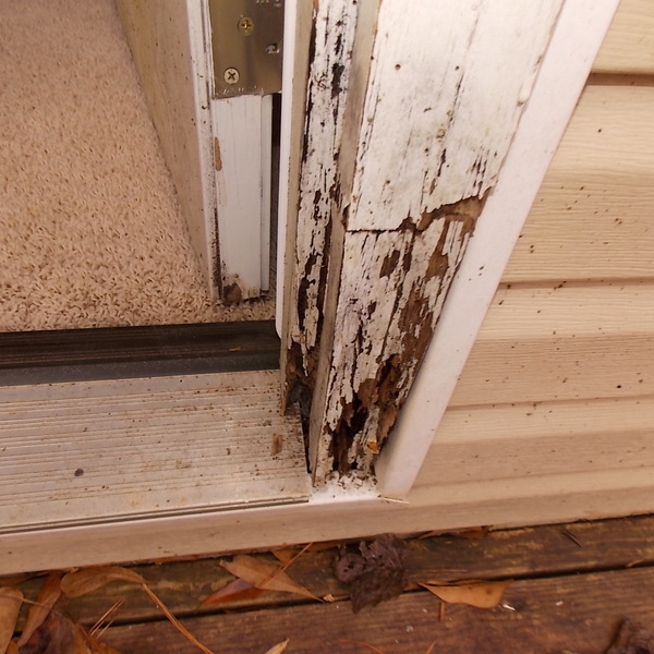 replace-exterior-door-frame-ryobi-nation-projects