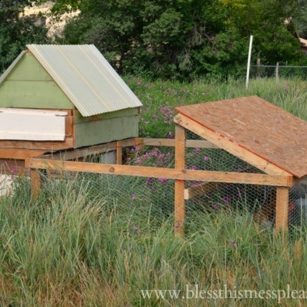 DIY Portable Chicken Run - RYOBI Nation Projects