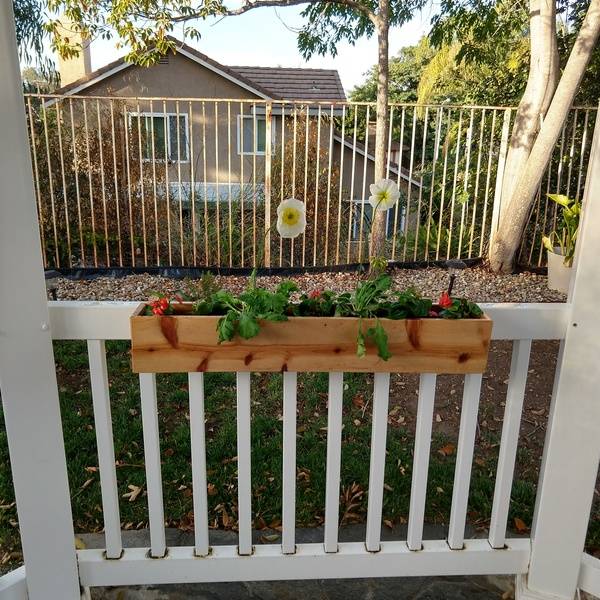 Hanging planter box - RYOBI Nation Projects