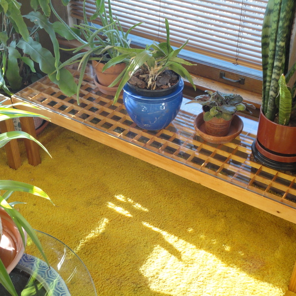 Photo: Indoor Planter Stands