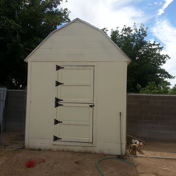 Photo: two story dog house