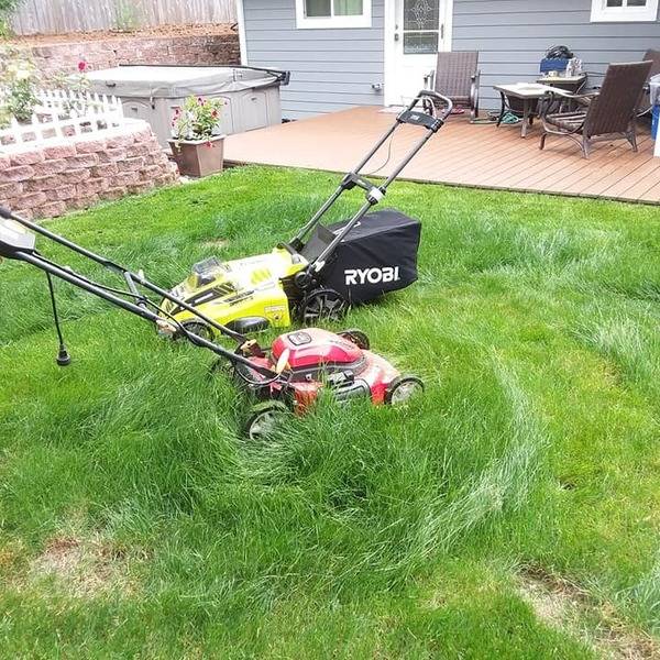 Photo: Yard work - got a new mower