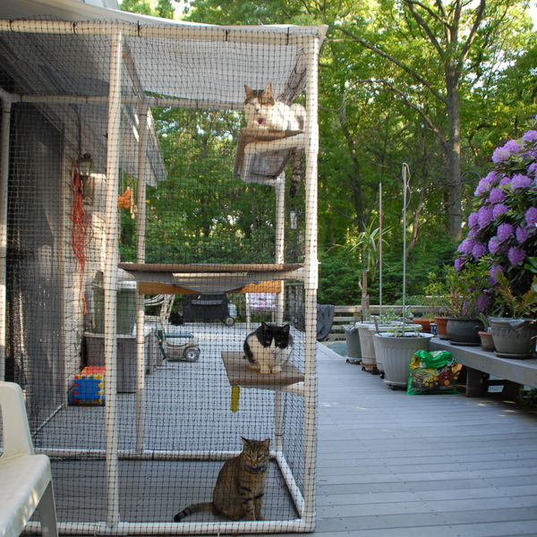 HOW TO BUILD A CATIO WITH PVC PIPES