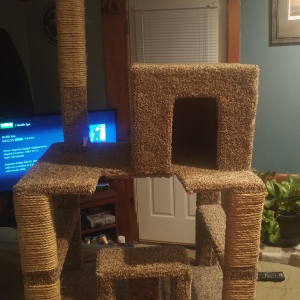 Photo: Cat tower