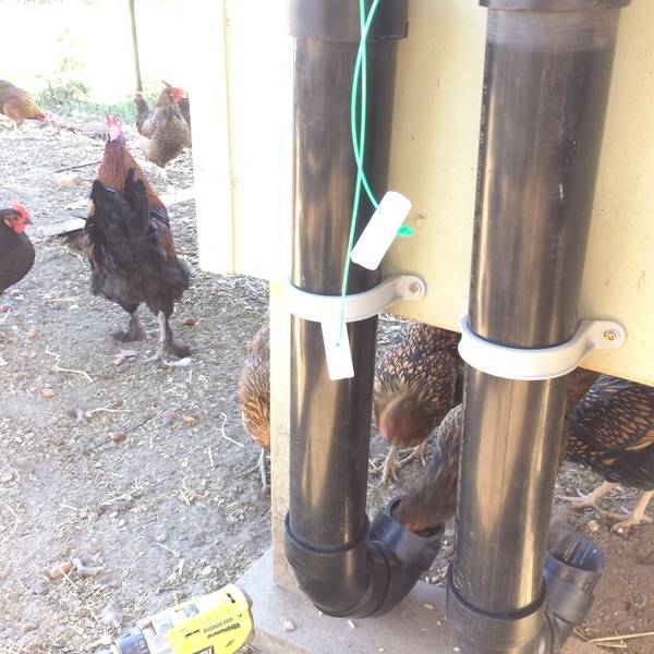 Easy Auto Chicken Feeder Ryobi Nation Projects