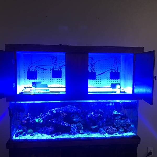 Aquarium Canopy - RYOBI Nation Projects