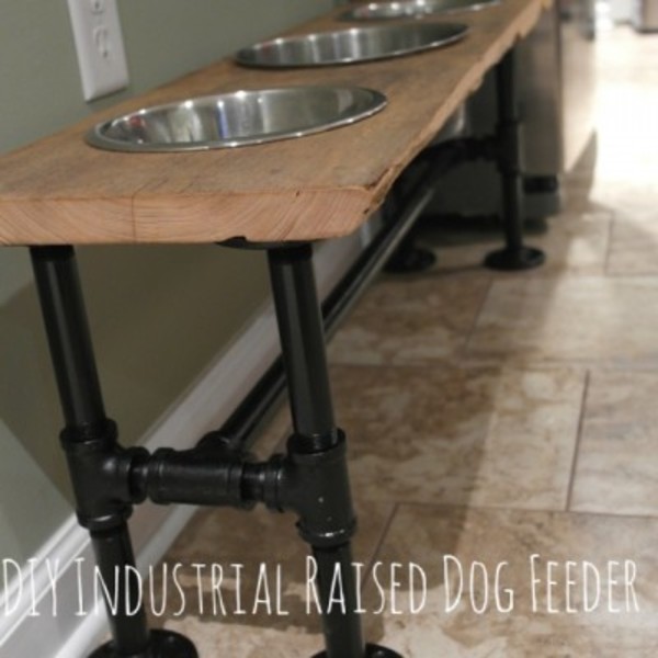 Raised Industrial Dog Feeder Ryobi Nation Projects
