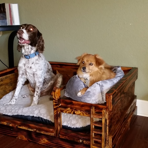 bunk bed buddy