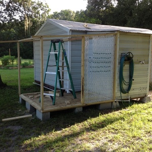 elite series man cave shed cabin, building a shed, backyard