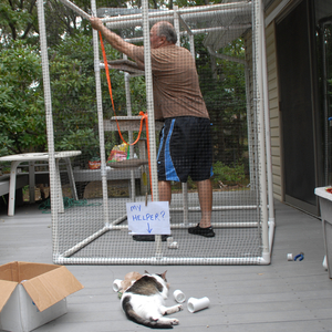 pvc pipe catio